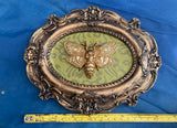 Steampunk Moth Macabre Wall Plaque by Nemesis Now