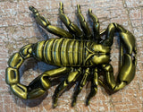 Scorpion gold coloured metal belt buckle BK51