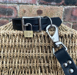Lockable D & O-ring Leather Choker with or without leash