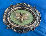 Steampunk Moth Macabre Wall Plaque by Nemesis Now