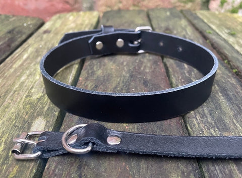 Plain leather choker 10mm or 19mm wide. Choice of 13 colours.
