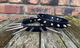 Leather Spiked Choker 1/2" to 2" spikes