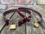 Front locking leather choker 10mm or 19mm wide. Choice of 13 colours.