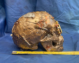 Steampunk Scrapped Skull by Nemesis Now
