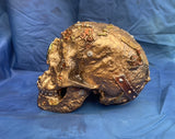 Steampunk Scrapped Skull by Nemesis Now
