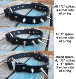 Leather Spiked O-ring choker 1/2" or 1" spikes